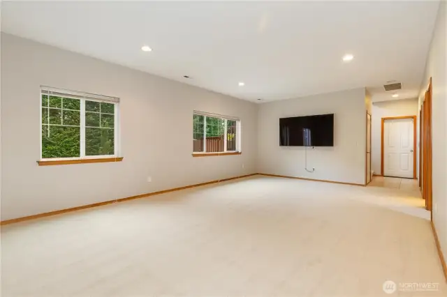 downstairs family room