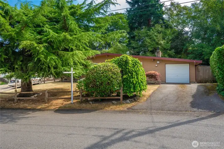 Mature trees and shrubs  giving privacy at the street.