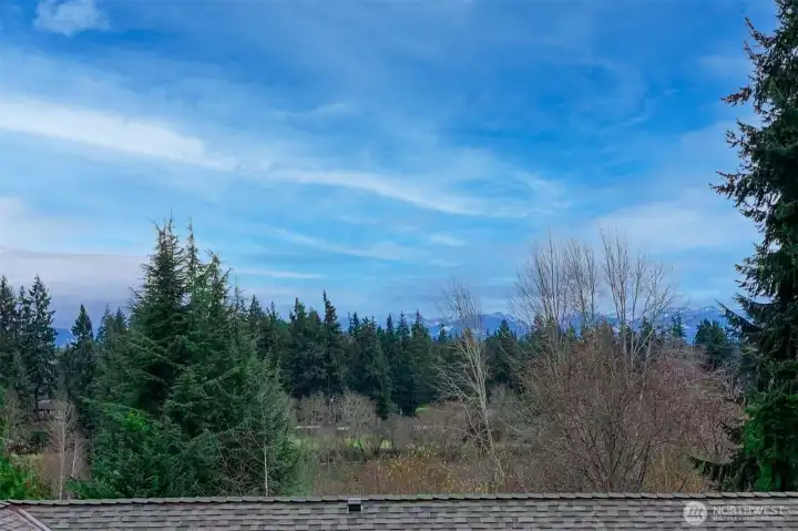 Terrestrial view from the deck