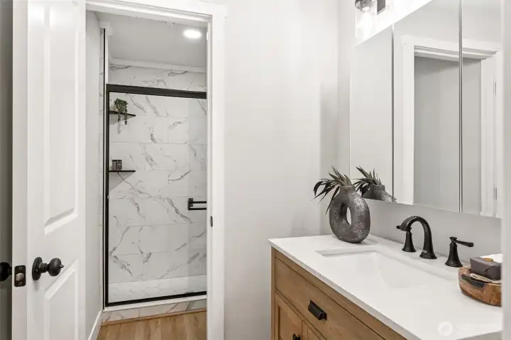 Lower level bathroom