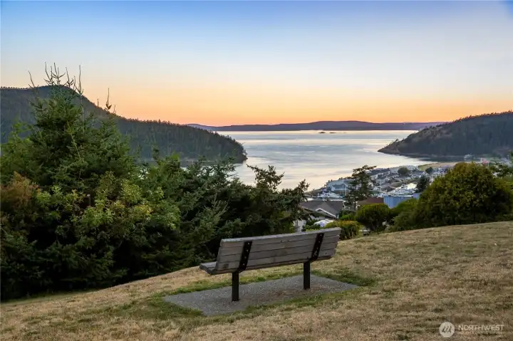 Skyline park overlooking Burrows Island and Washington Park