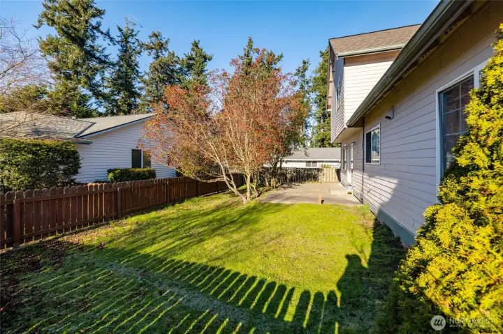 Fully fenced backyard