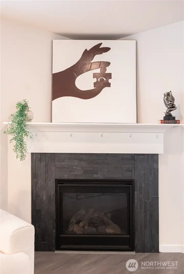 living room Fireplace