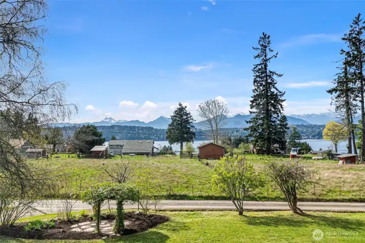 Hood Canal/Olympic Views!