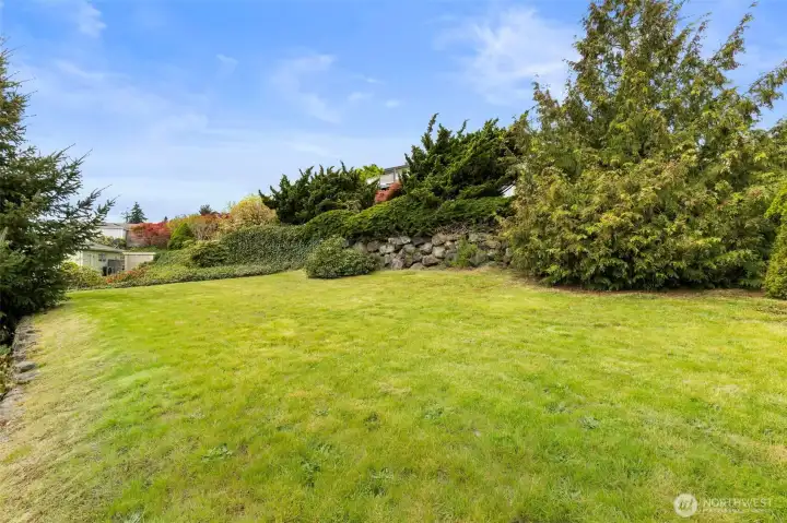 Upper grassy area in back yard.