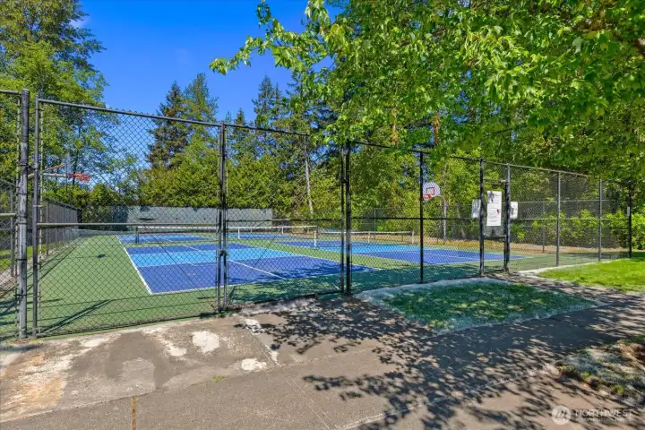 Sports Court