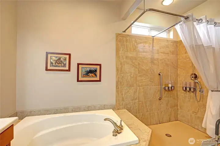 ADA roll-in shower, primary bathroom.