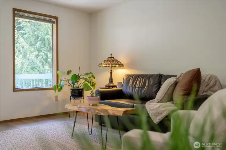 Large Windows facing Private Backyard Large Windows facing Private Backyard