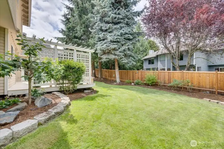 Another viewpoint of the backyard.