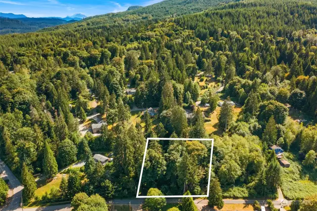 Aerial View # 3 with Property Line