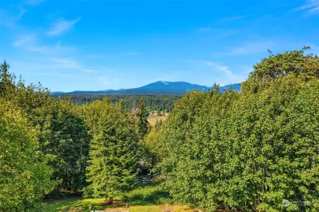 Limited Mountain Views From Property