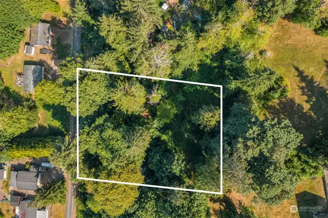 Aerial View # 1 with Property Line
