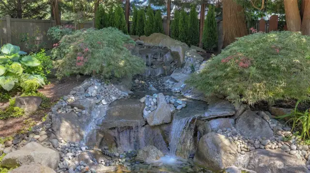 Close-up of the waterfall and surrounding foliage.