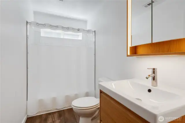 Updated Full Bathroom Downstairs