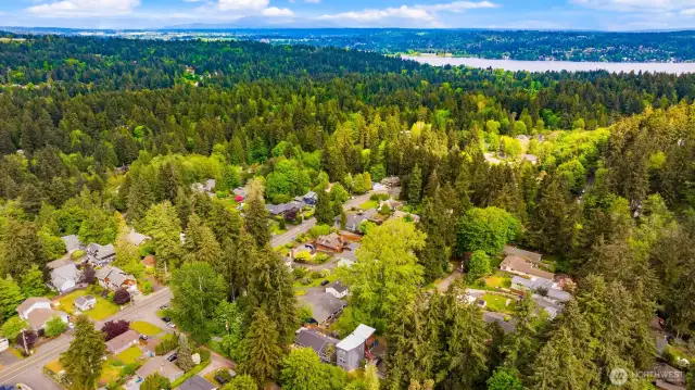 Fantastic location 1.5 miles to the Lake Forest Park Civic Club.