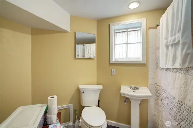 Lower level full bath.