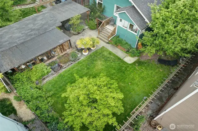 Back yard with mature plantings, berries and garden beds.