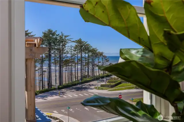 Primary bedroom ocean view
