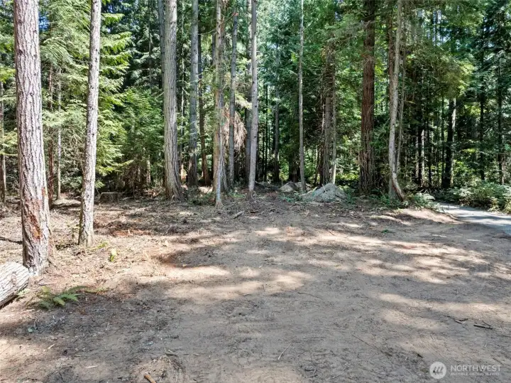 View from west side of building site