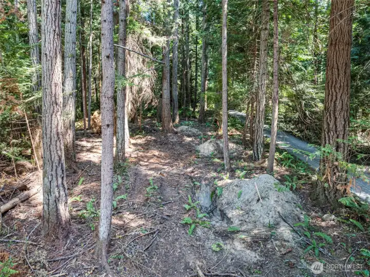 Perk holes for gravity distribution septic