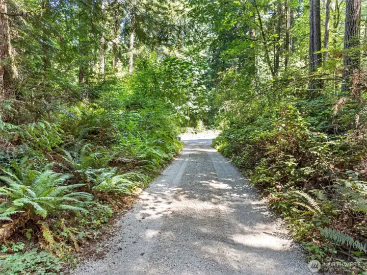 View from driveway towards road