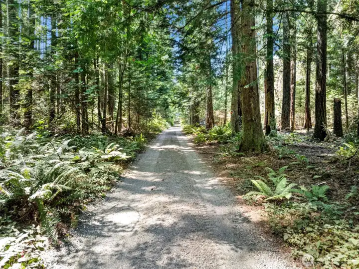 Driveway from road, property is to the right of driveway.