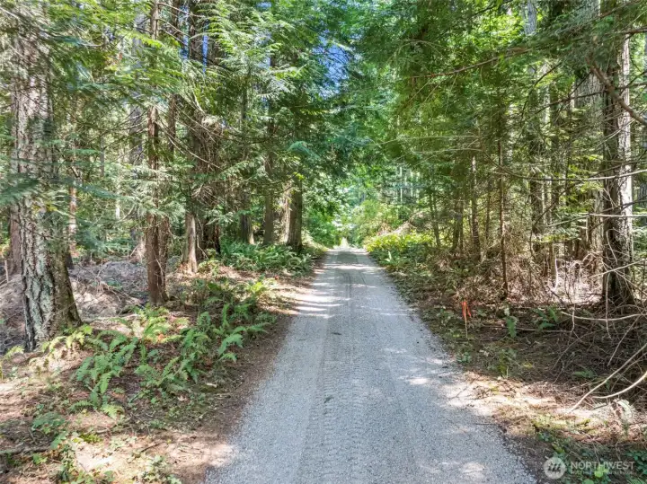 View of driveway from street