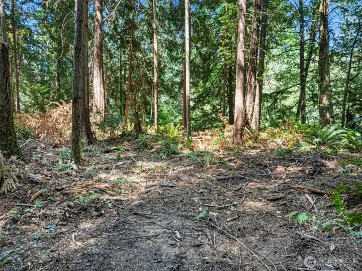 East side of property