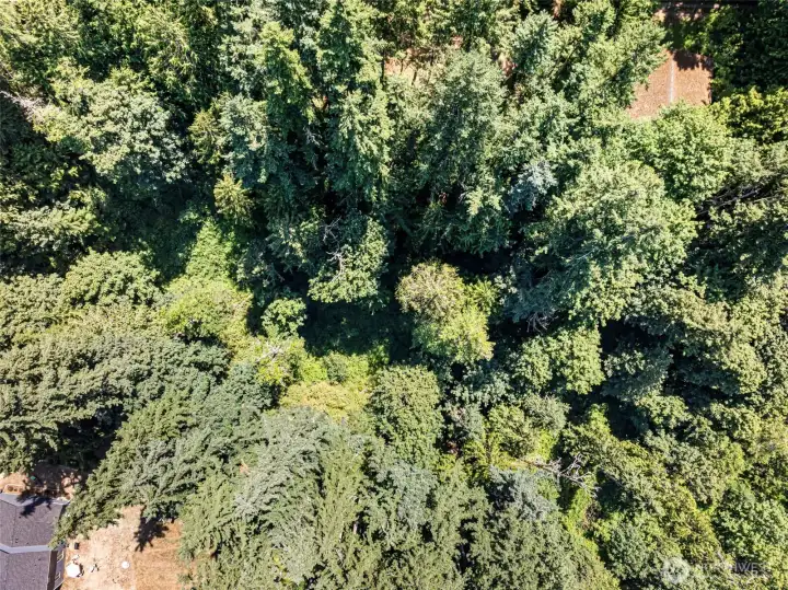 Drone above property