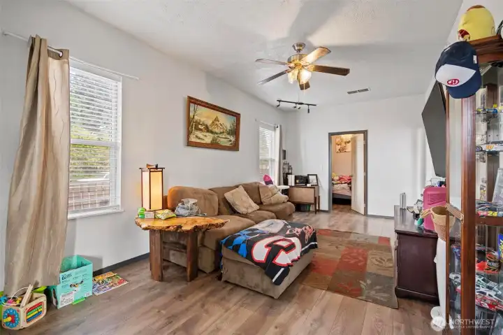 Living room and lower level bedroom