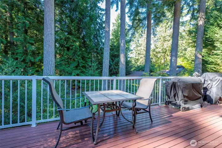 Expansive back deck to enjoy the afternoon sunshine!