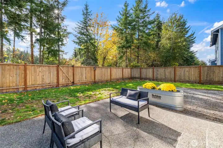 Large back patio
