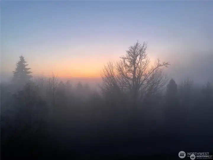 Those misty/foggy mornings are gorgeous as well!