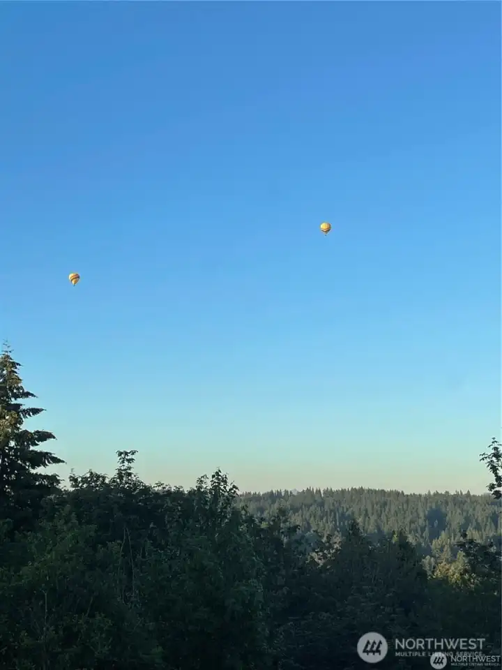 Hot air balloons floating in the summer are fun to watch!
