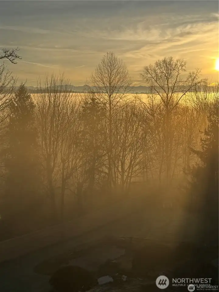 Gotta love that misty morning.