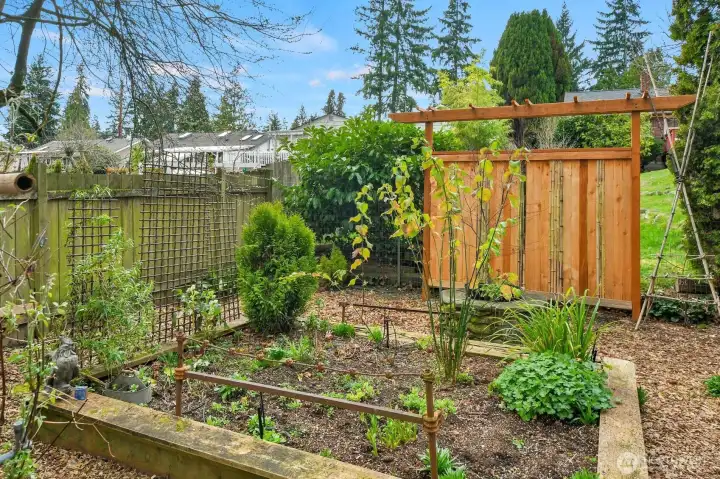 Backyard raised bed