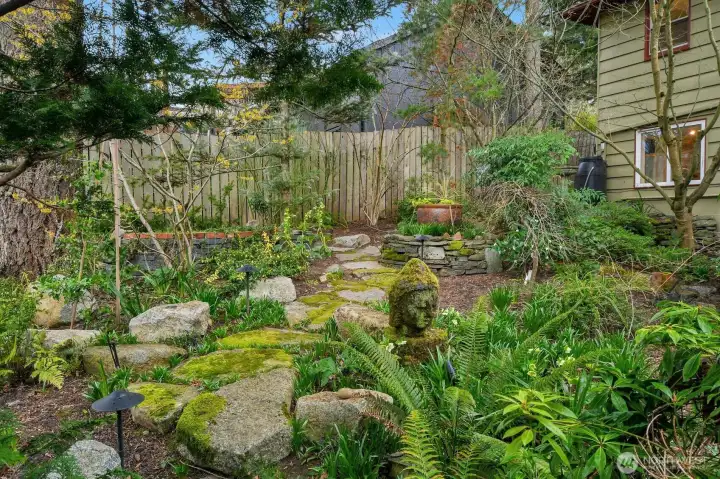 Northeast backyard area