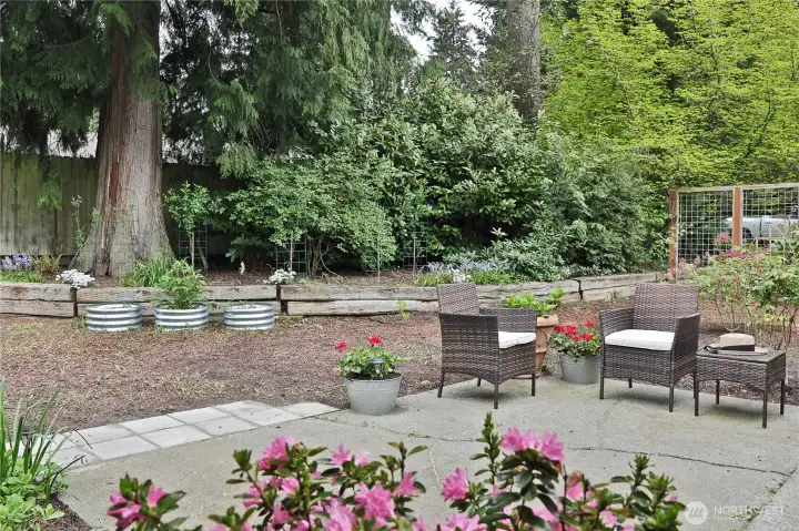 front patio at entry