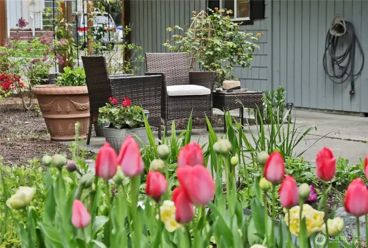 relax in your private garden patio