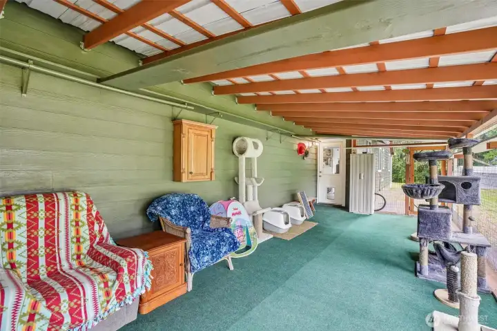 Outdoor covered patio / catio