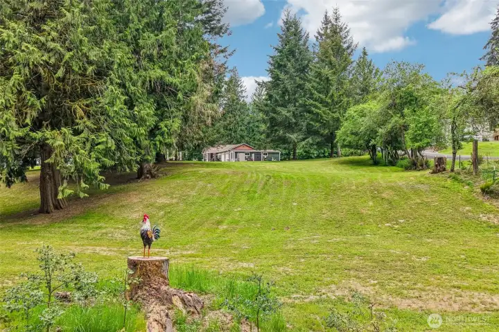 South edge of property