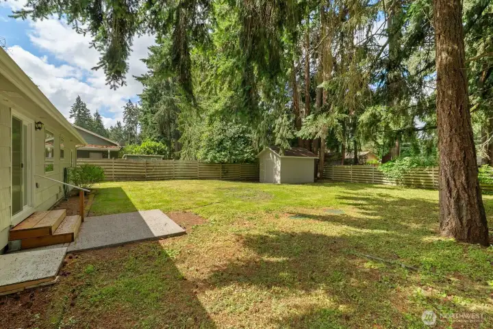 Backyard Side