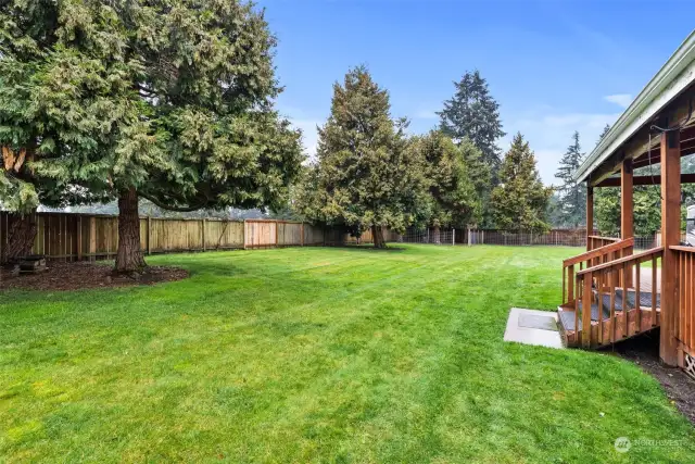 Spacious Backyard