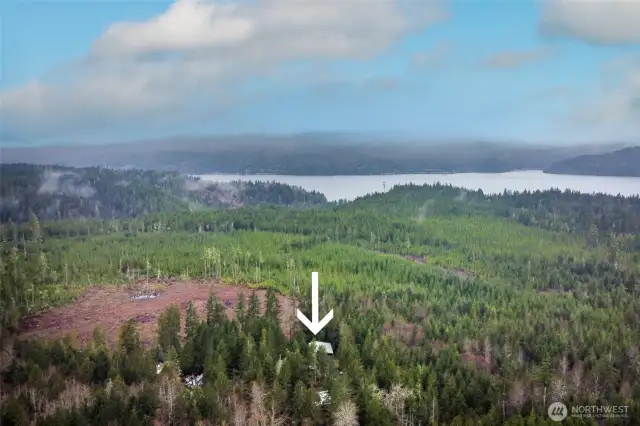 Gorgeous, forested, Tahuya