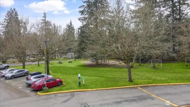 Grassed Picnic / Park Area