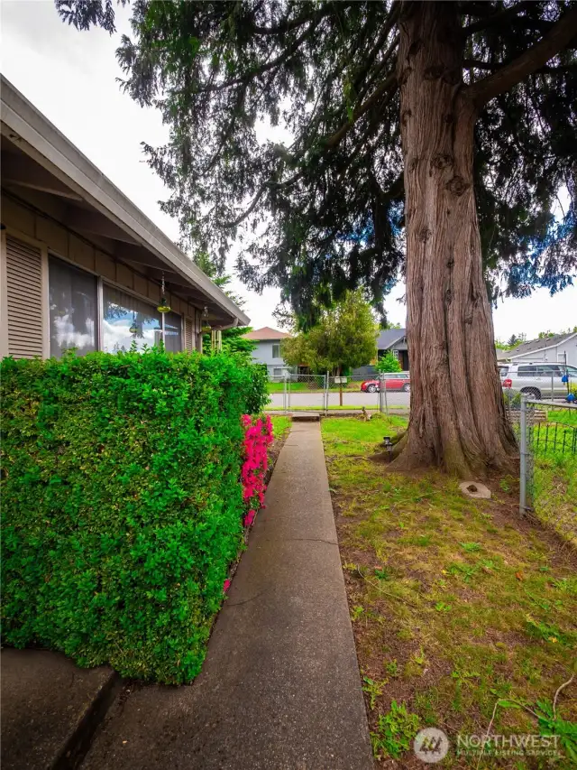 WALKWAY FROM 3312...