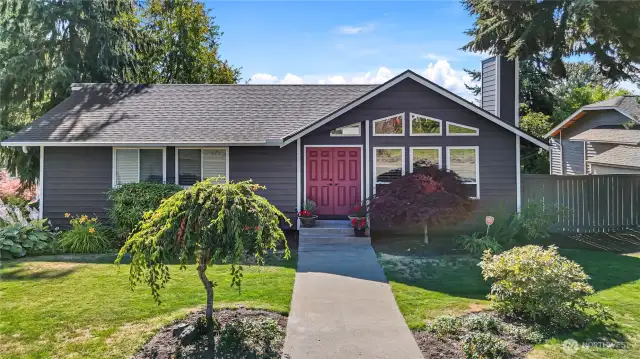 1 level living with daylight basement