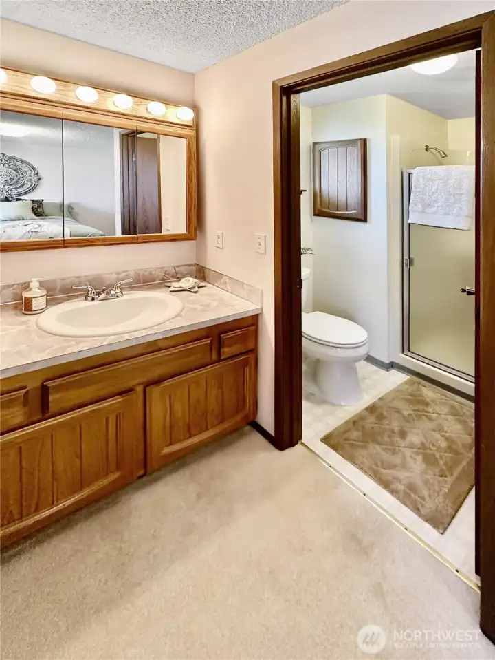 Closer view of the primary vanity and access to the shower.