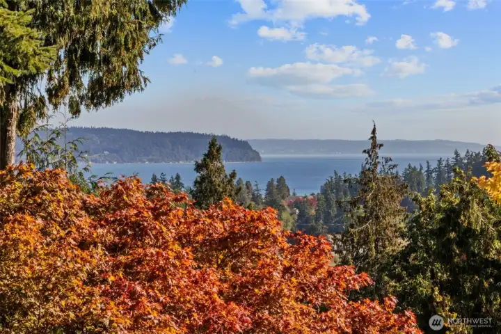 Puget sound and Mt Rainier views from the livingroom, dining room and Master bedroom.