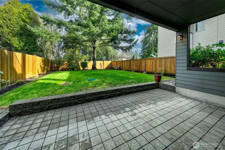 Main level back patio